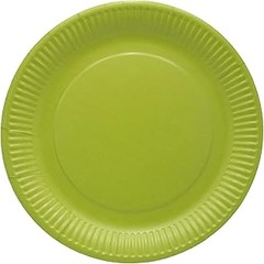 Guía para elegir los mejores platos desechables para pizza