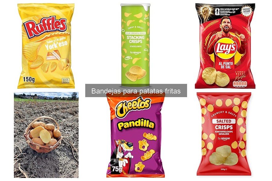 ** Alternativas a las bandejas para patatas fritas: opciones únicas