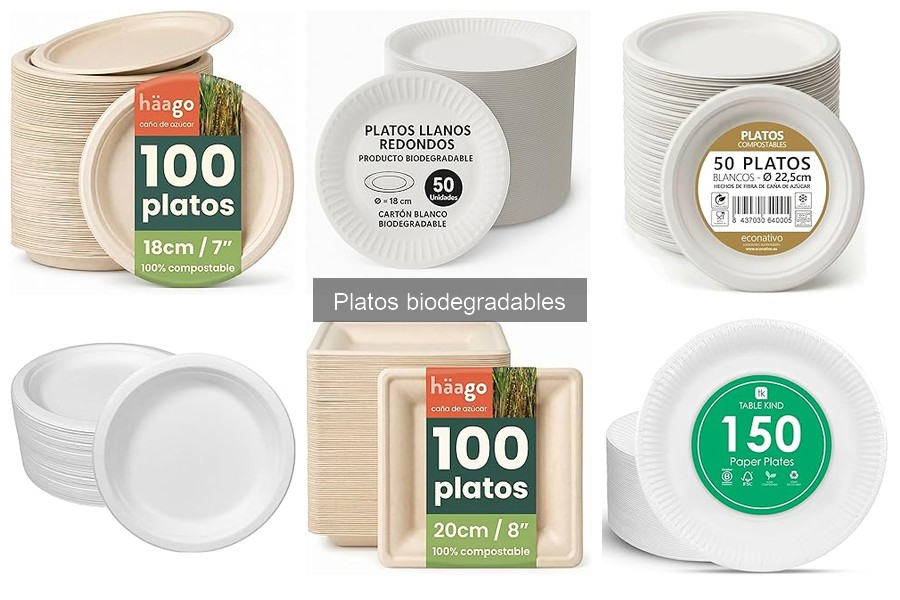 ** Alternativas a los Platos Biodegradables para Eventos Sostenibles