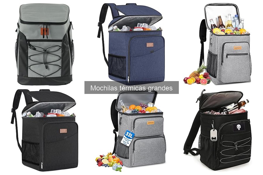 Alternativas a mochilas térmicas grandes para delivery