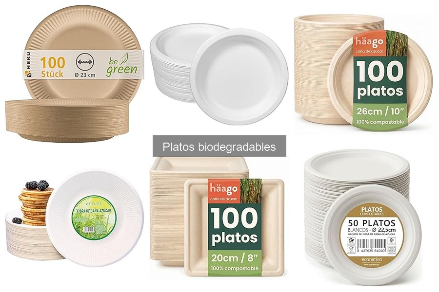 Alternativas a Platos Biodegradables para Restaurantes