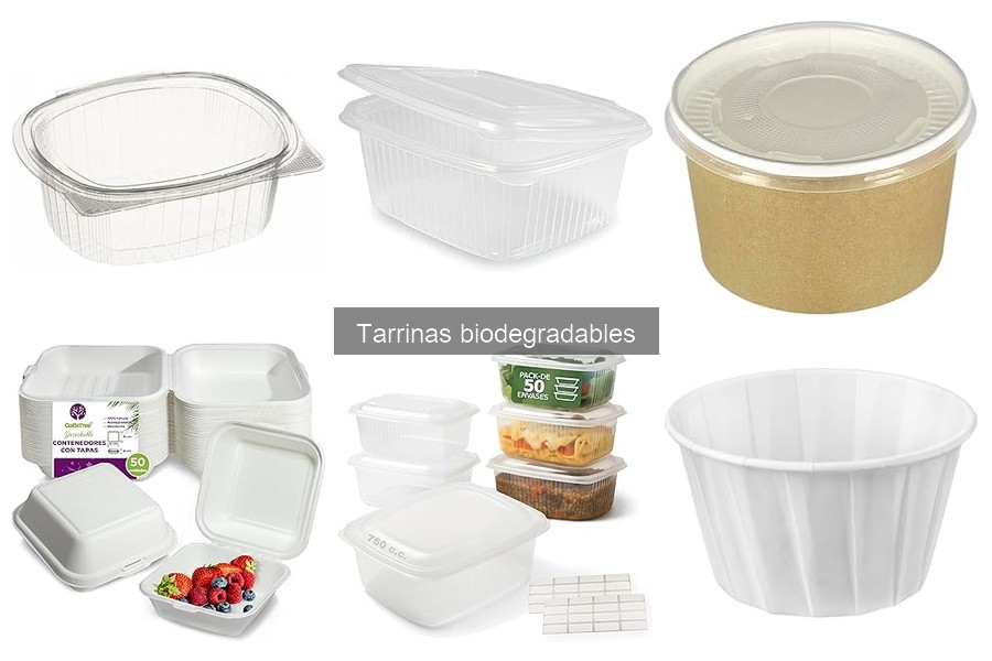Alternativas Sostenibles a las Tarrinas Biodegradables
