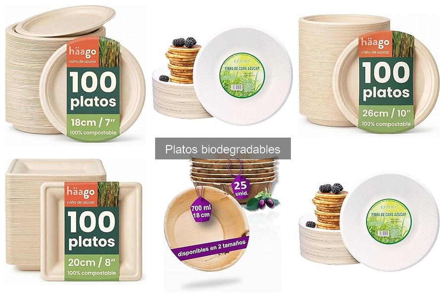 Beneficios fiscales de usar platos biodegradables en restaurantes