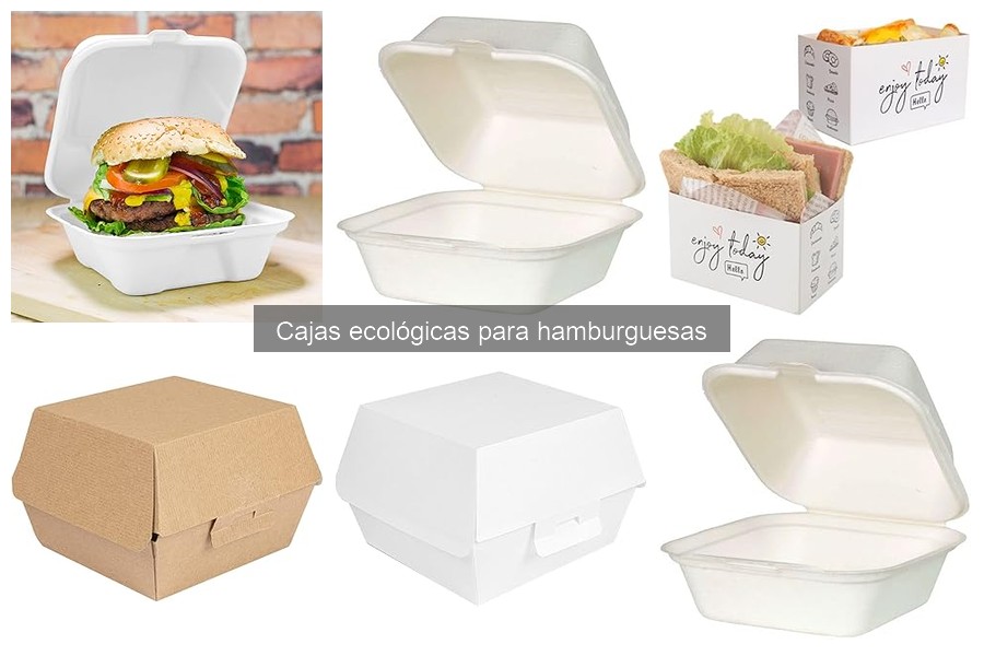Cómo almacenar y mantener cajas ecológicas para hamburguesas