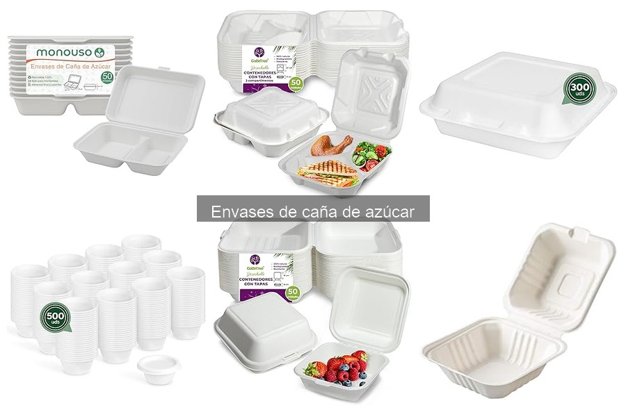 Cómo reciclar envases de caña de azúcar de forma efectiva
