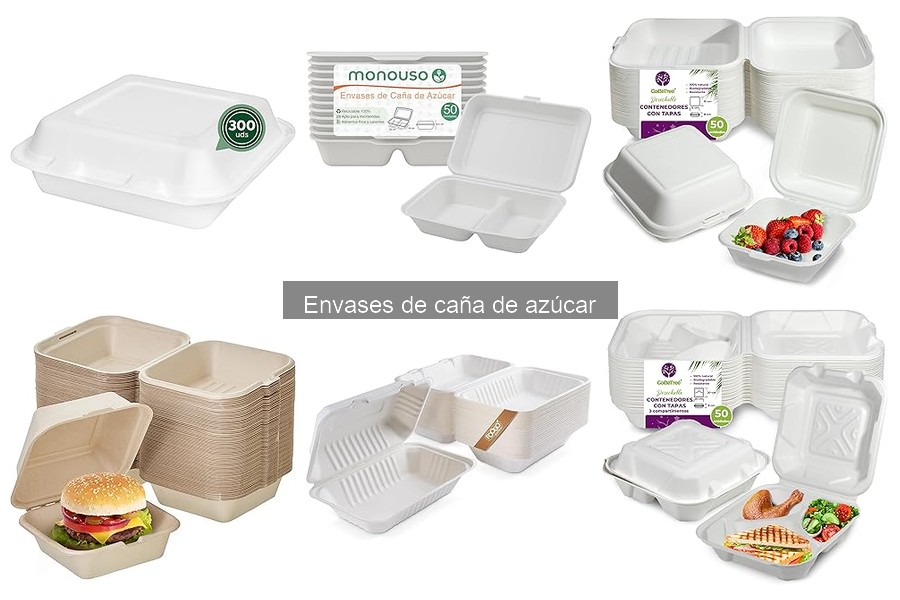 Comparativa: Envases de Caña de Azúcar vs. Plástico