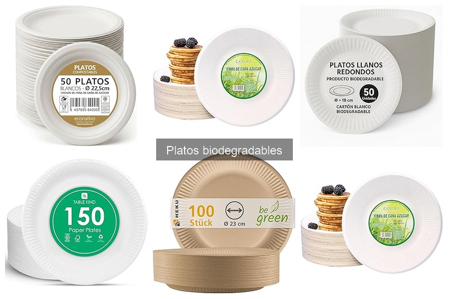 Costo promedio de platos biodegradables para restaurantes