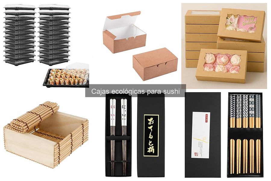 Costos de Cajas Ecológicas para Sushi: Presupuestos Asequibles