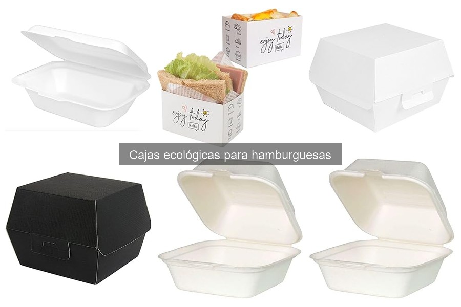 Dónde comprar cajas ecológicas para hamburguesas al mejor precio