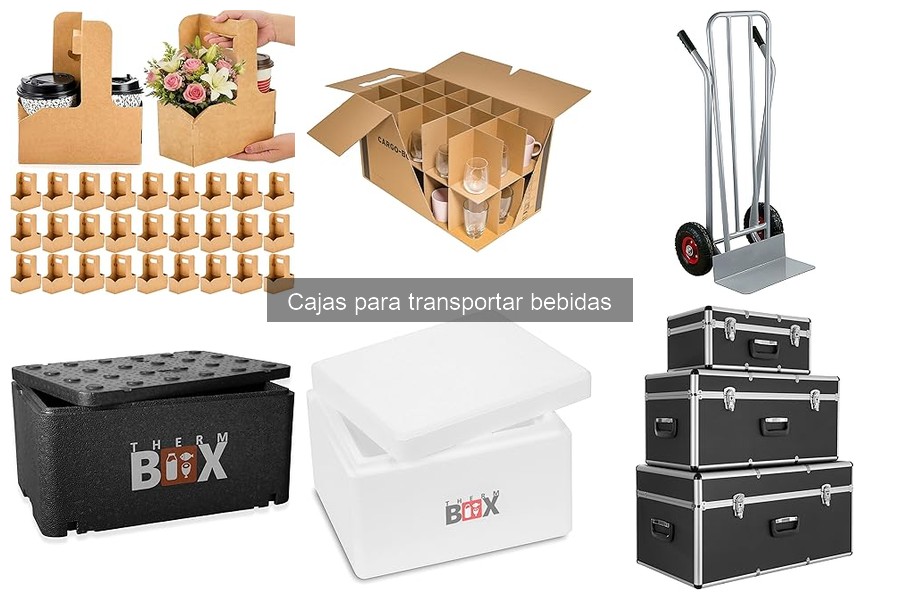 Dónde comprar cajas para transportar bebidas fácilmente