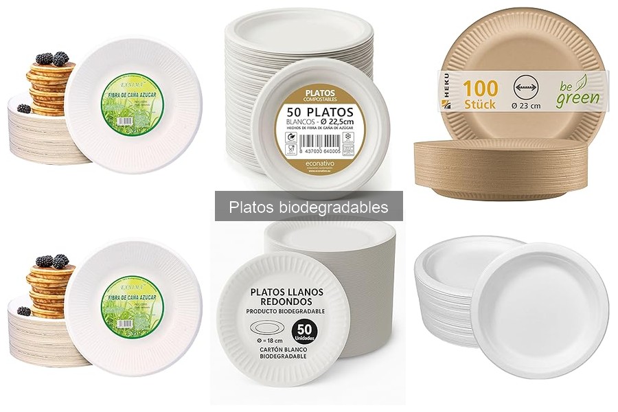 ¿Dónde comprar platos biodegradables al por mayor para restaurantes?