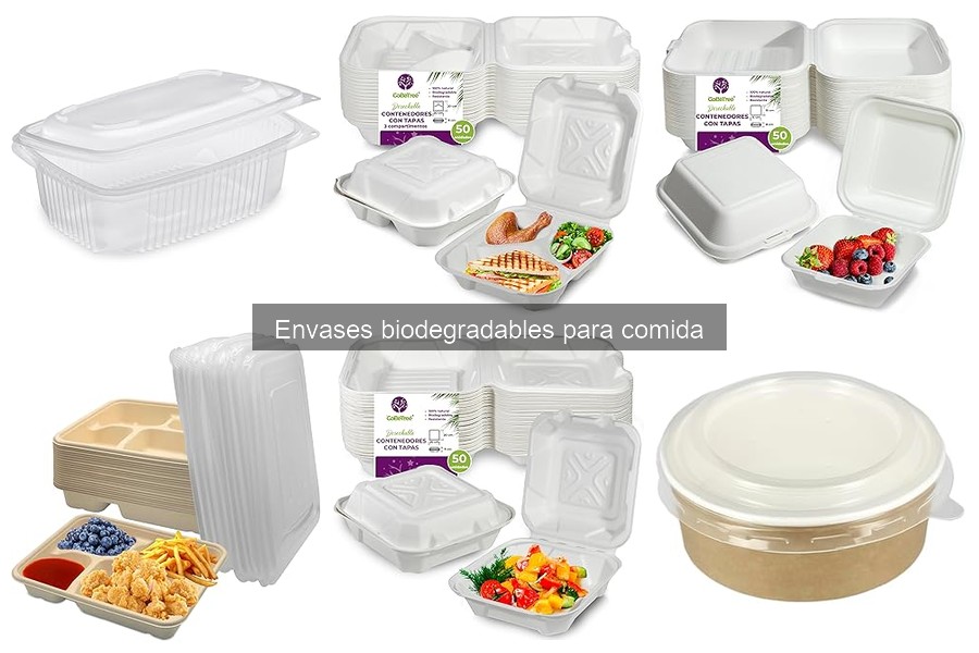 Guía de compra de envases biodegradables para comida