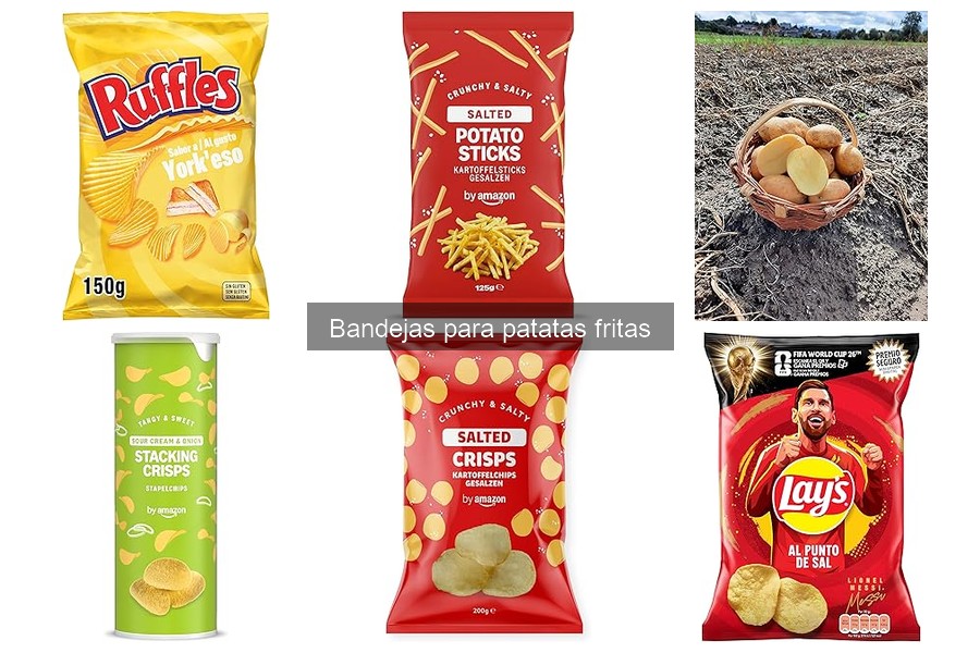 Guía para Elegir Bandejas para Patatas Fritas en Restaurantes