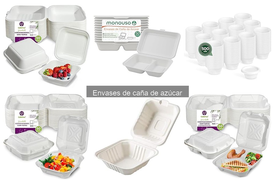 Guía para Elegir Envases de Caña de Azúcar para Restaurantes