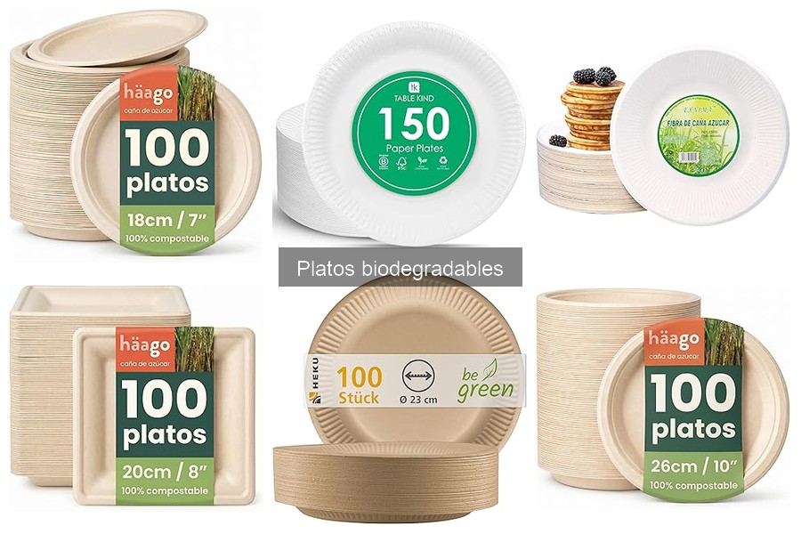 Guía para elegir platos biodegradables para restaurantes