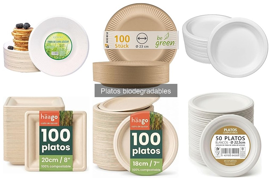 Guía para Elegir Platos Biodegradables para Tu Restaurante