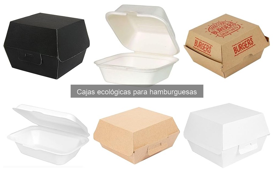 Impacto ambiental de las cajas ecológicas para hamburguesas