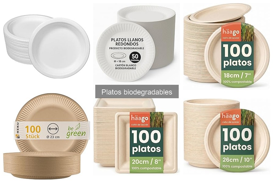 ** Impacto Ambiental de los Platos Biodegradables en Restaurantes