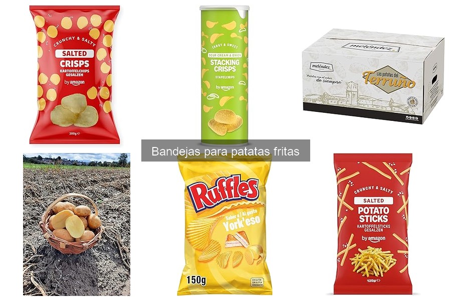 Innovaciones en bandejas para patatas fritas para restaurantes