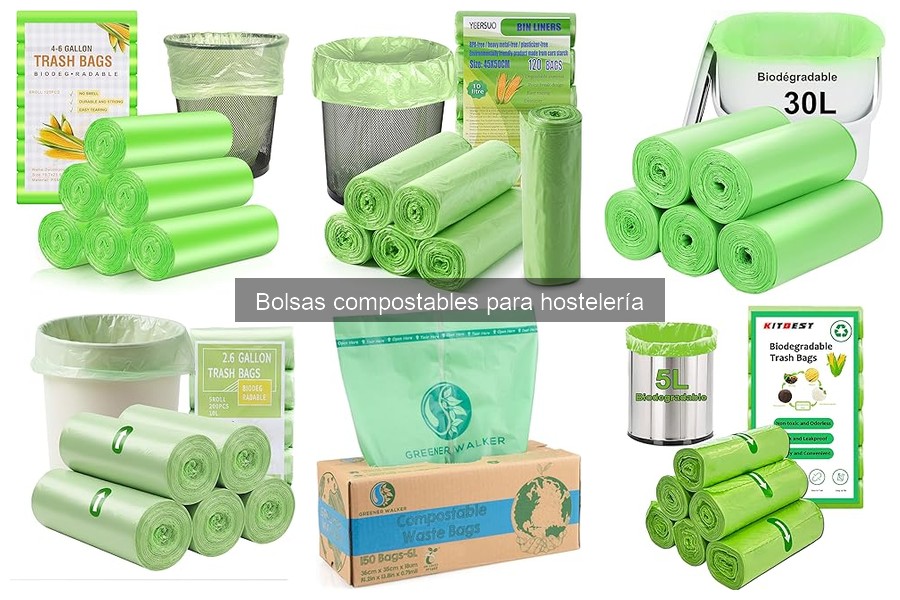 Las mejores bolsas compostables para llevar: comparativa