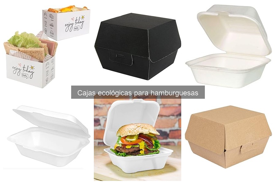Materiales de cajas ecológicas para hamburguesas explicados