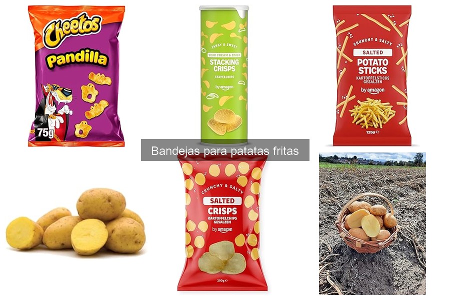 Mejores bandejas para patatas fritas en food trucks