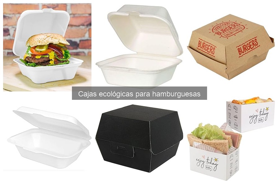 Mejores cajas ecológicas para hamburguesas en Amazon