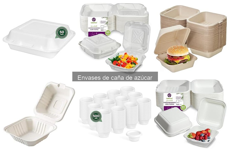 Mejores envases de caña de azúcar para comida caliente
