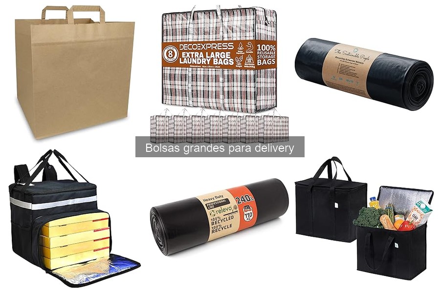 Mejores marcas de bolsas grandes para delivery en 2023
