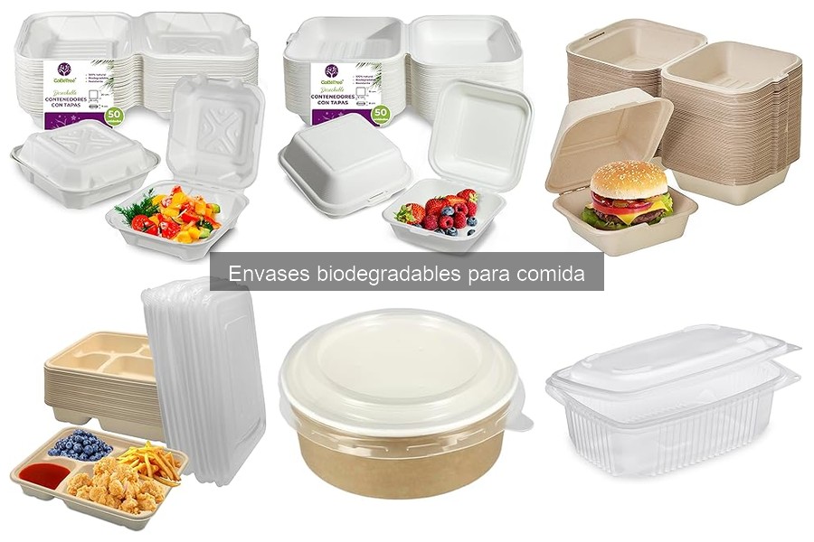 Mejores marcas de envases biodegradables para delivery