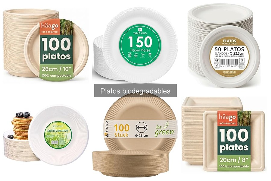 Mejores marcas de platos biodegradables para delivery