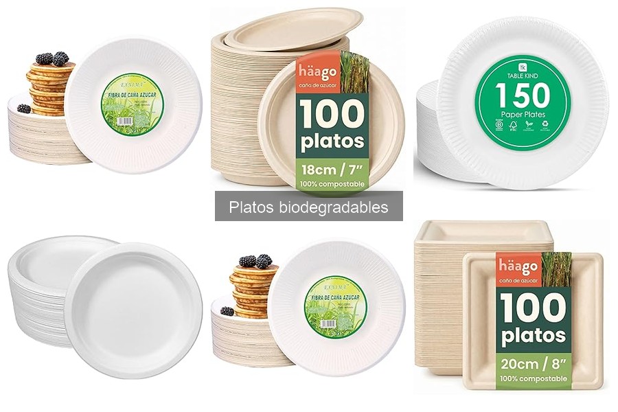 Mejores platos biodegradables para delivery: guía 2023