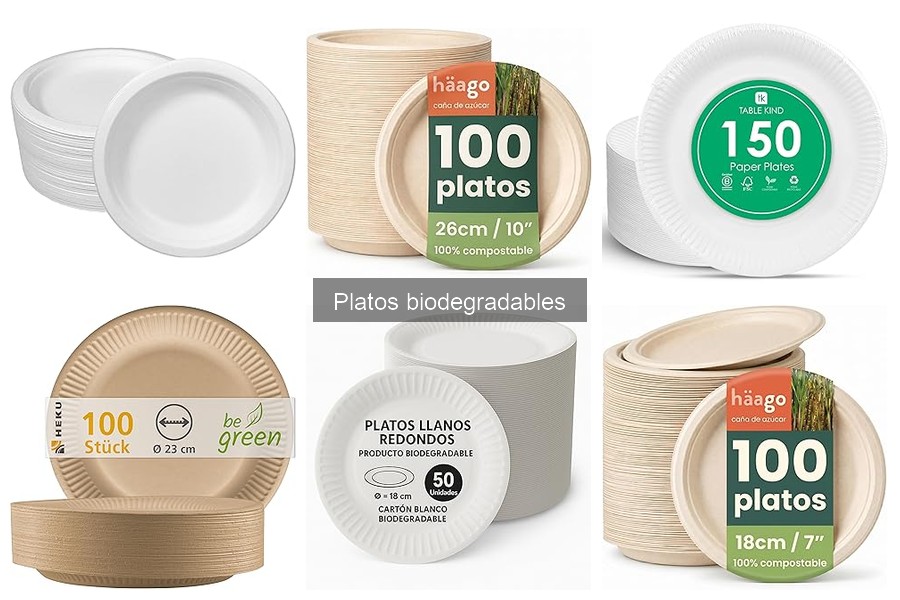 Platos biodegradables para alimentos húmedos: guía y opciones
