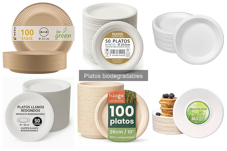 Platos Biodegradables: ¿Qué Son y Cómo Funcionan?