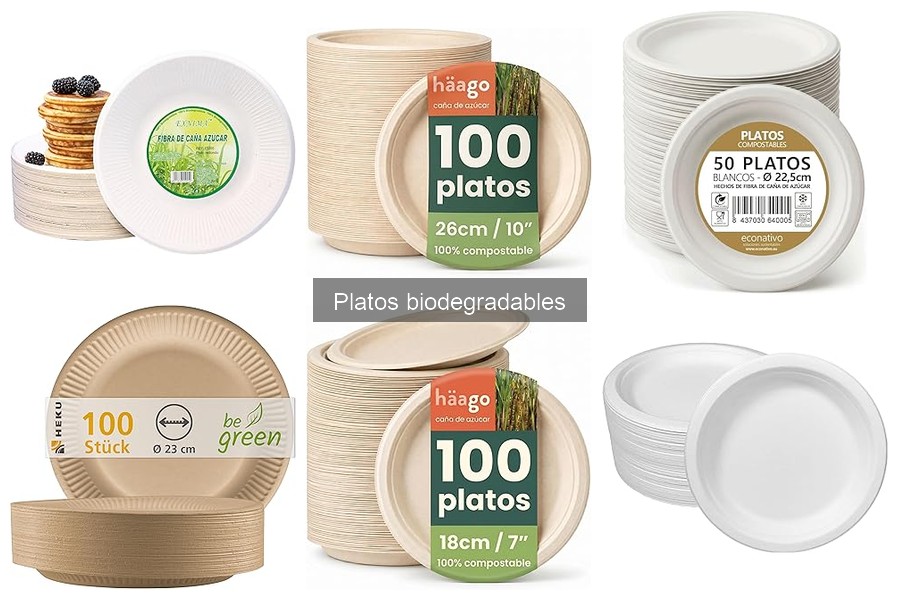 Platos biodegradables vs compostables: ¿cuál es la diferencia?