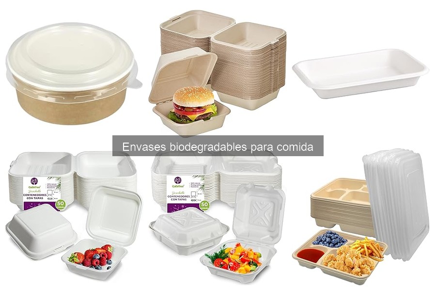 Precios de envases biodegradables para comida: ofertas y análisis