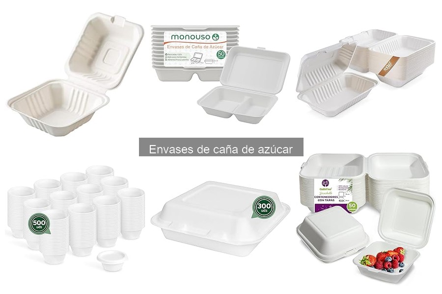 ¿Qué son los envases de caña de azúcar? Guía rápida