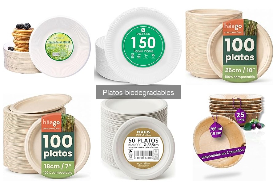 ** ¿Qué son los platos biodegradables? Beneficios y materiales