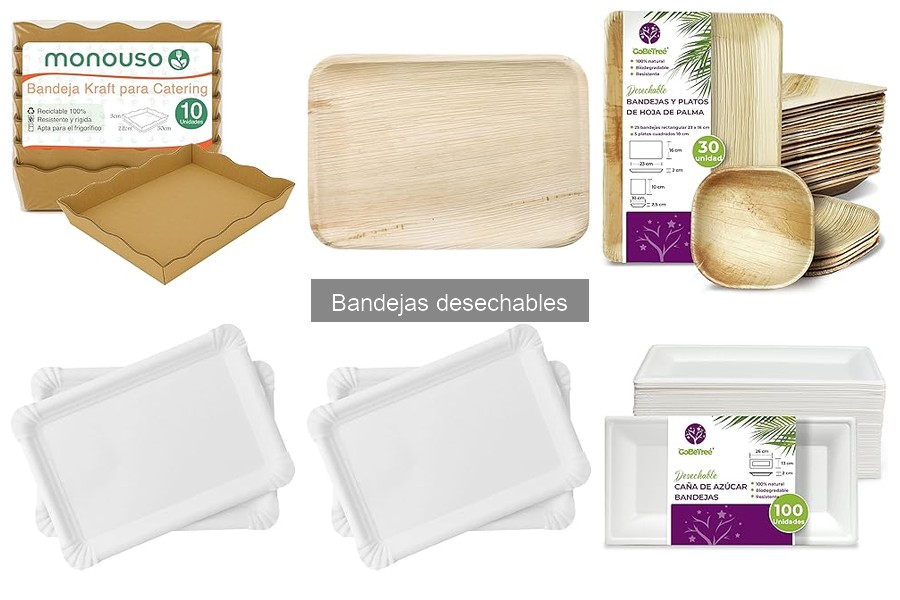 Tipos de bandejas desechables para restaurantes: guía completa