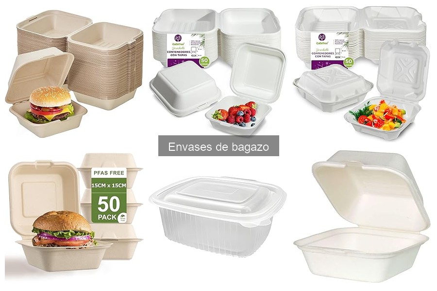 Tipos de envases de bagazo para comida para llevar