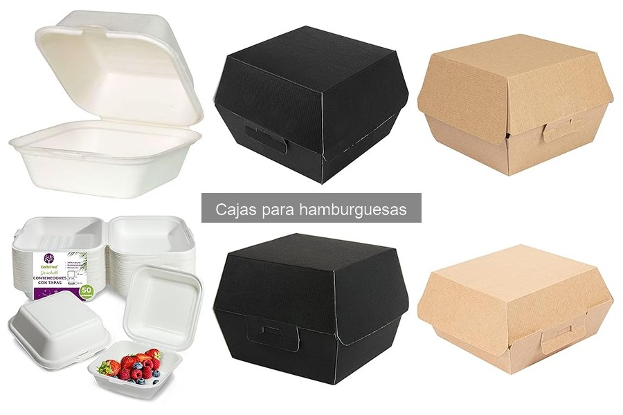 Todo sobre las cajas para hamburguesas: características y tipos