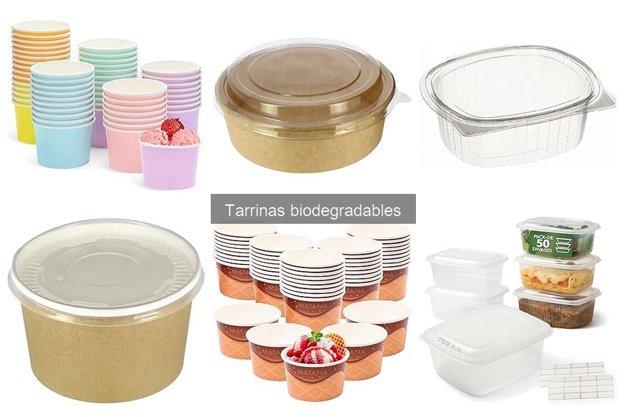 Todo sobre las tarrinas biodegradables para comida