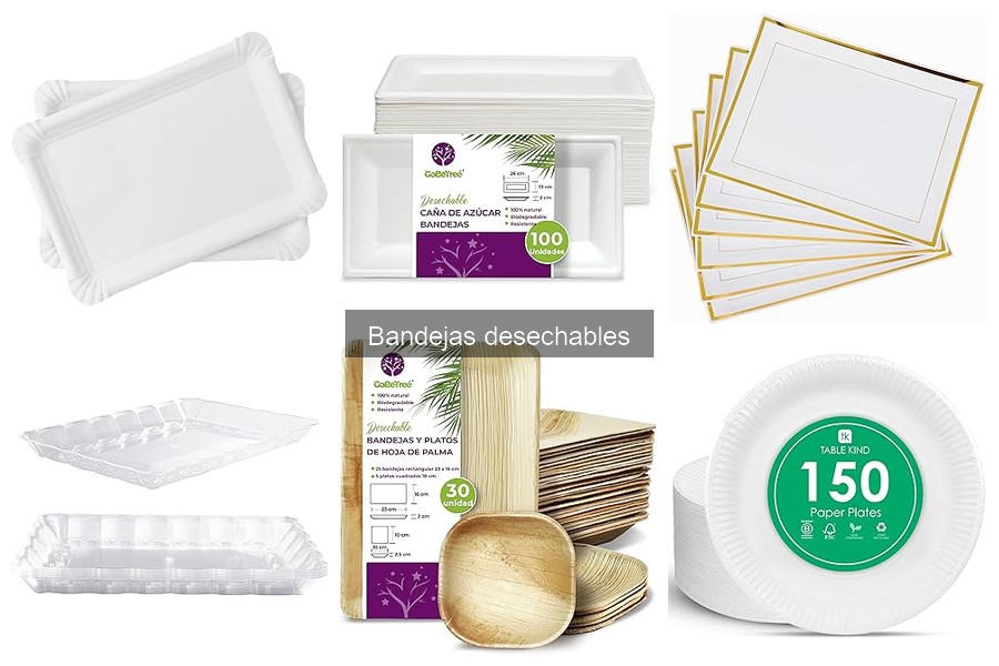 Uso adecuado de bandejas desechables para delivery