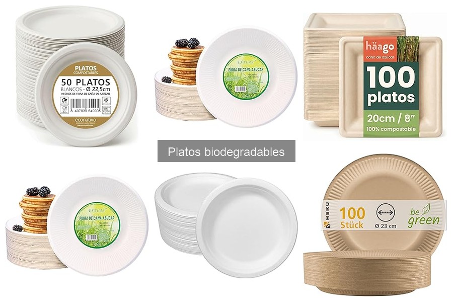 Uso Efectivo de Platos Biodegradables en Comida para Llevar