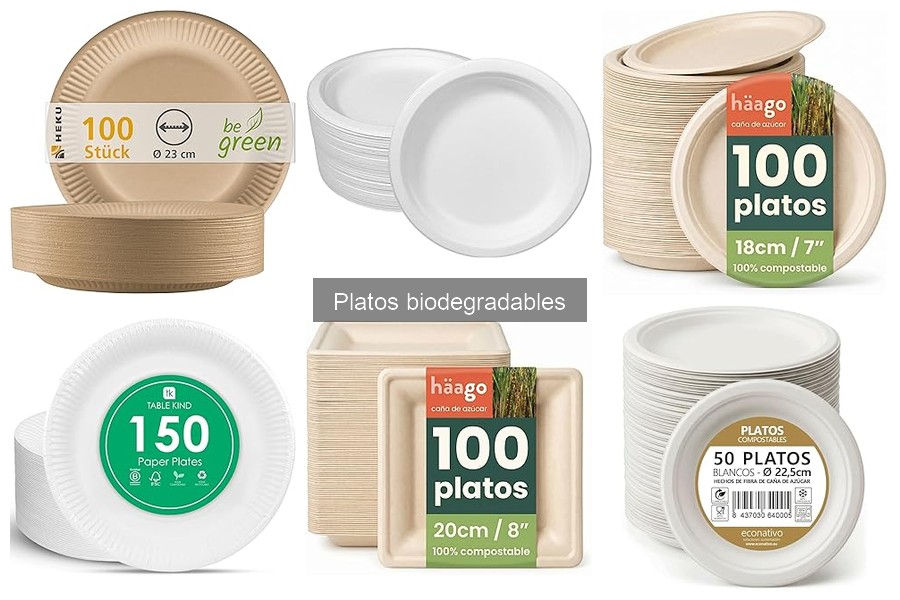 Usos creativos de platos biodegradables en eventos