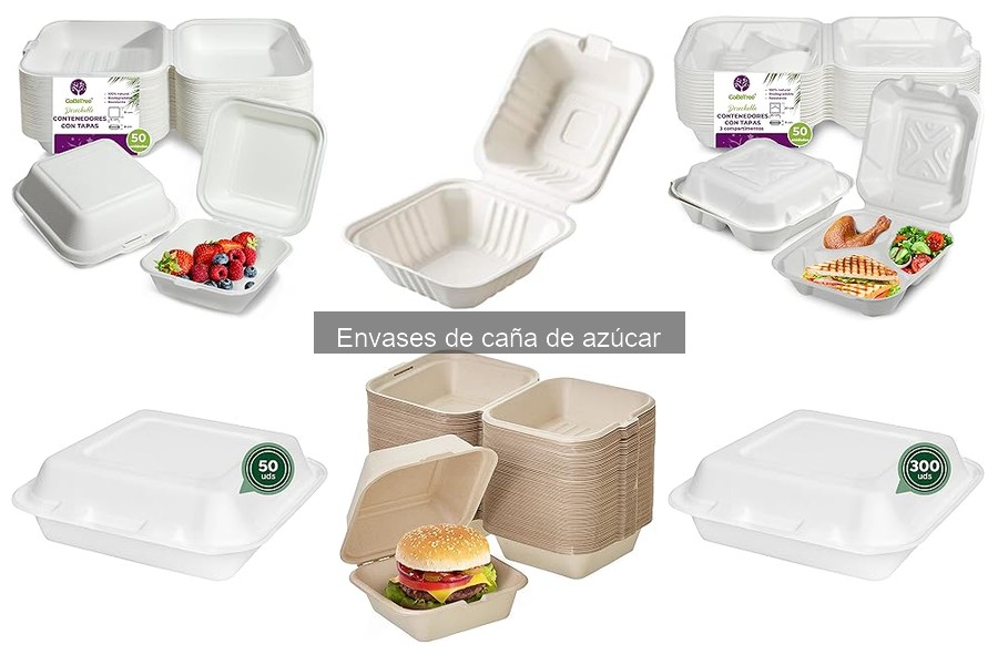 Ventajas de los envases de caña de azúcar para delivery