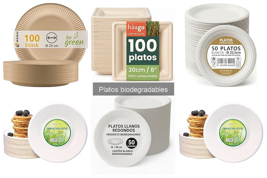 Ventajas de los Platos Biodegradables para Restaurantes