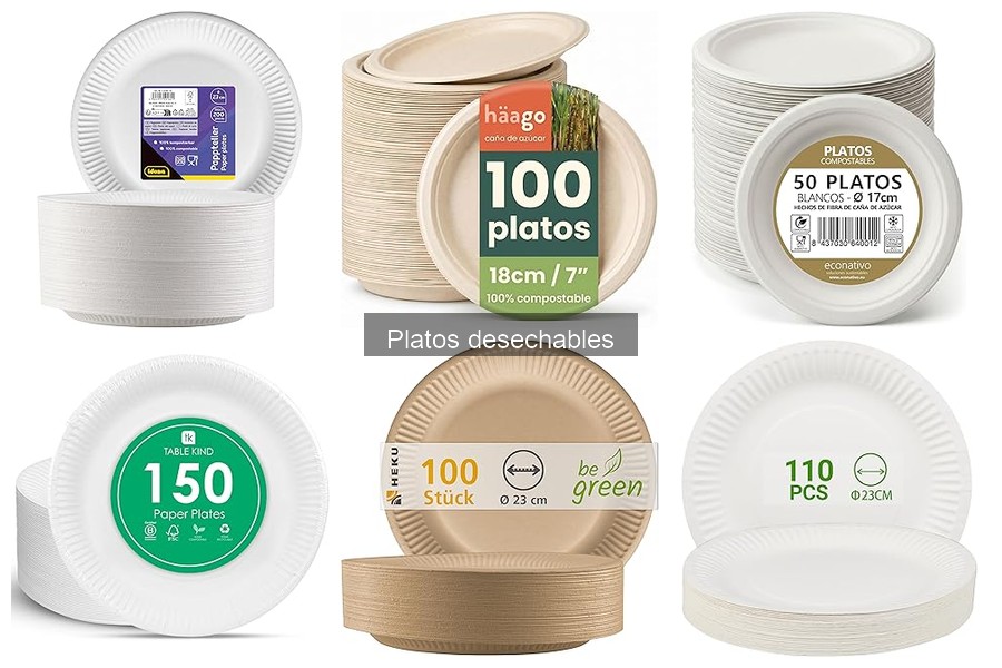 Ventajas y desventajas de platos desechables para delivery